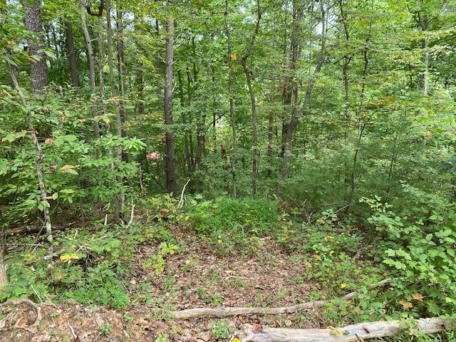 0 Hiram Branch Road Campton, KY 41301 - Photo 5 of 29 Photo 5
