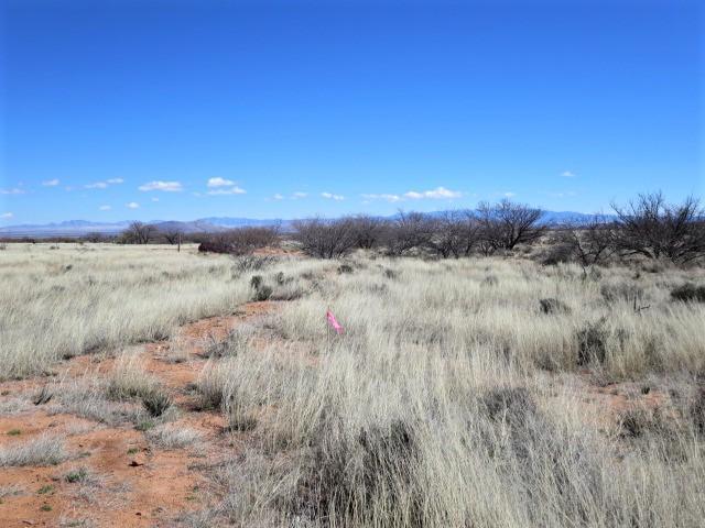 2.18-ac North Desert Road, Unit 1&2 Pearce, AZ 85625 - Photo 12 of 17