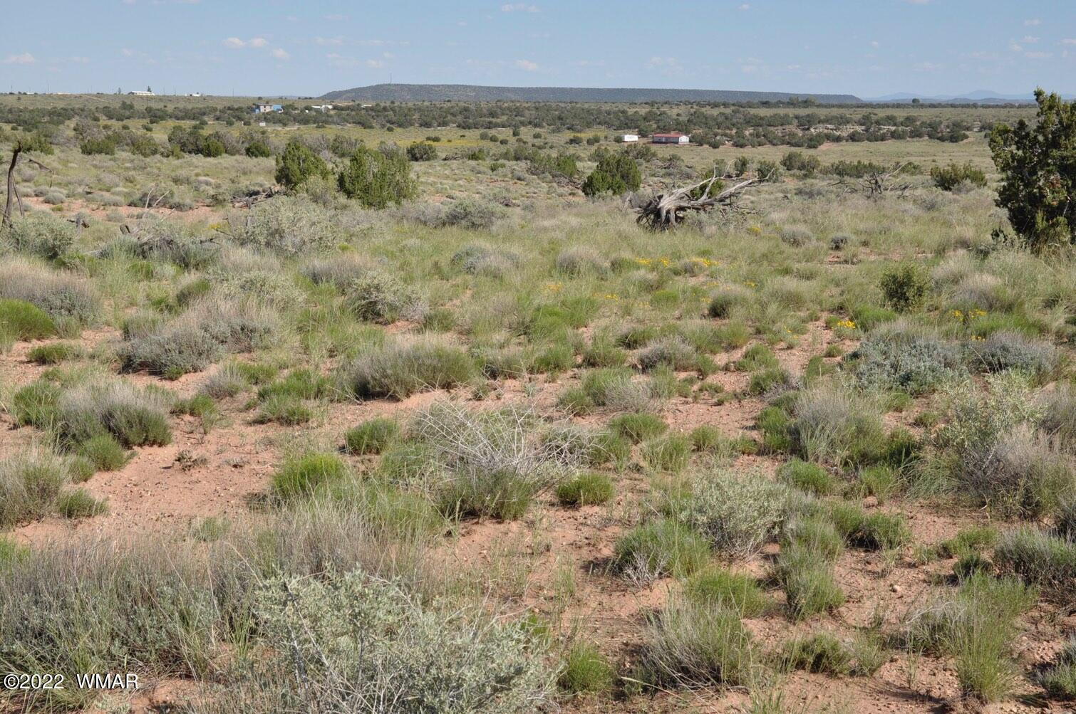 161-acres Rockin R Ranch Trail Snowflake, AZ 85937 - Photo 13 of 31