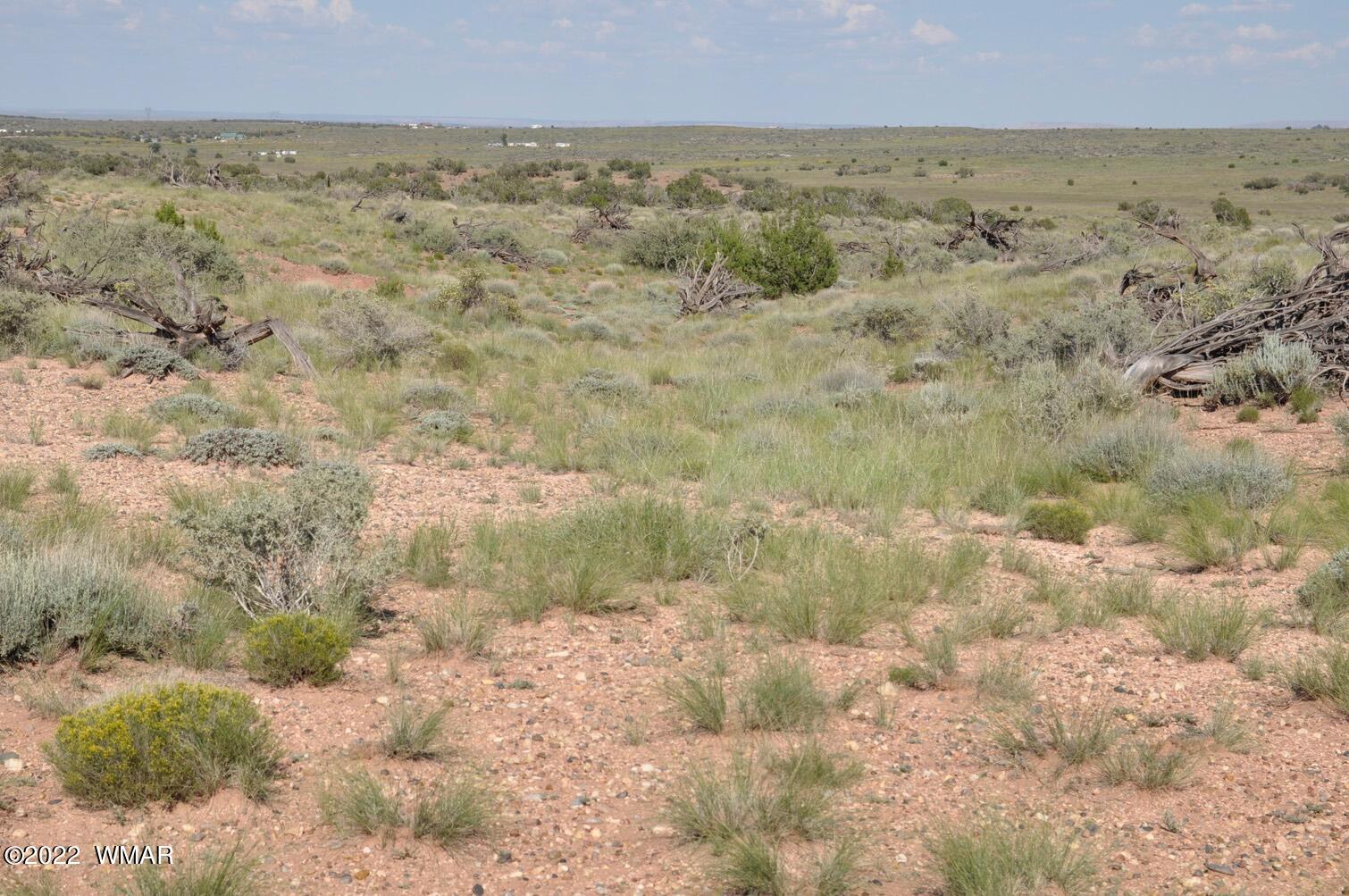 161-acres Rockin R Ranch Trail Snowflake, AZ 85937 - Photo 14 of 31