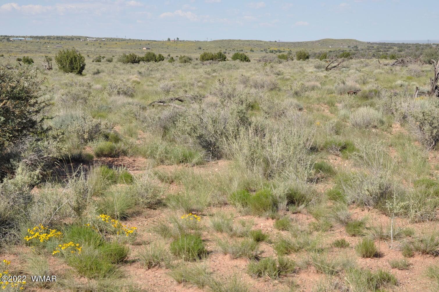 161-acres Rockin R Ranch Trail Snowflake, AZ 85937 - Photo 15 of 31