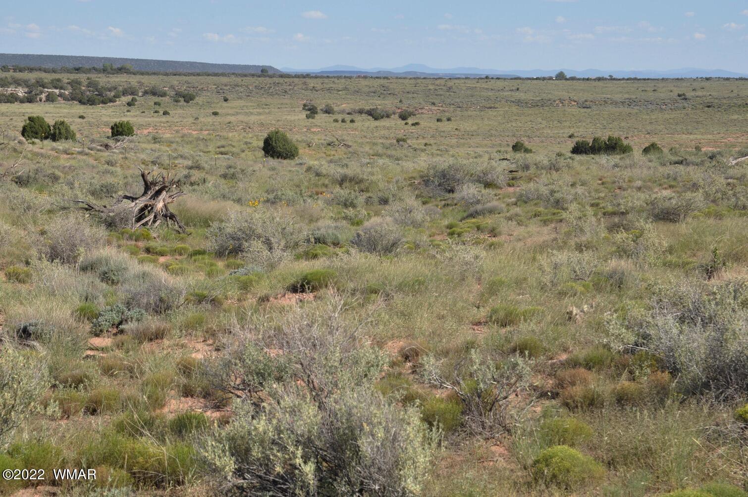 161-acres Rockin R Ranch Trail Snowflake, AZ 85937 - Photo 16 of 31