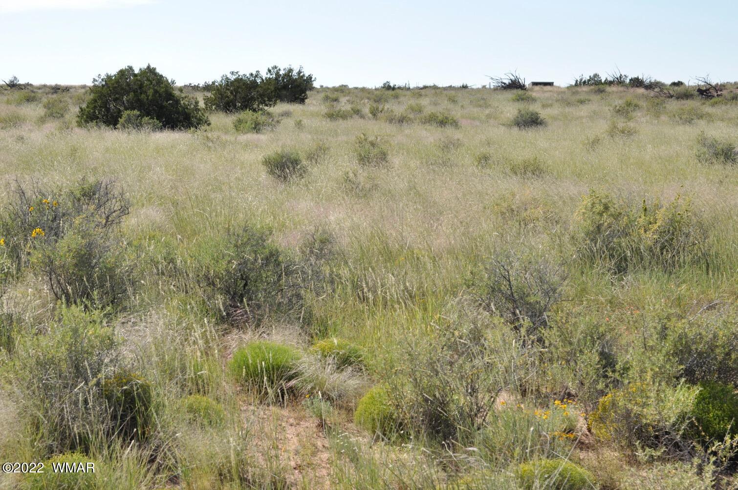 161-acres Rockin R Ranch Trail Snowflake, AZ 85937 - Photo 17 of 31