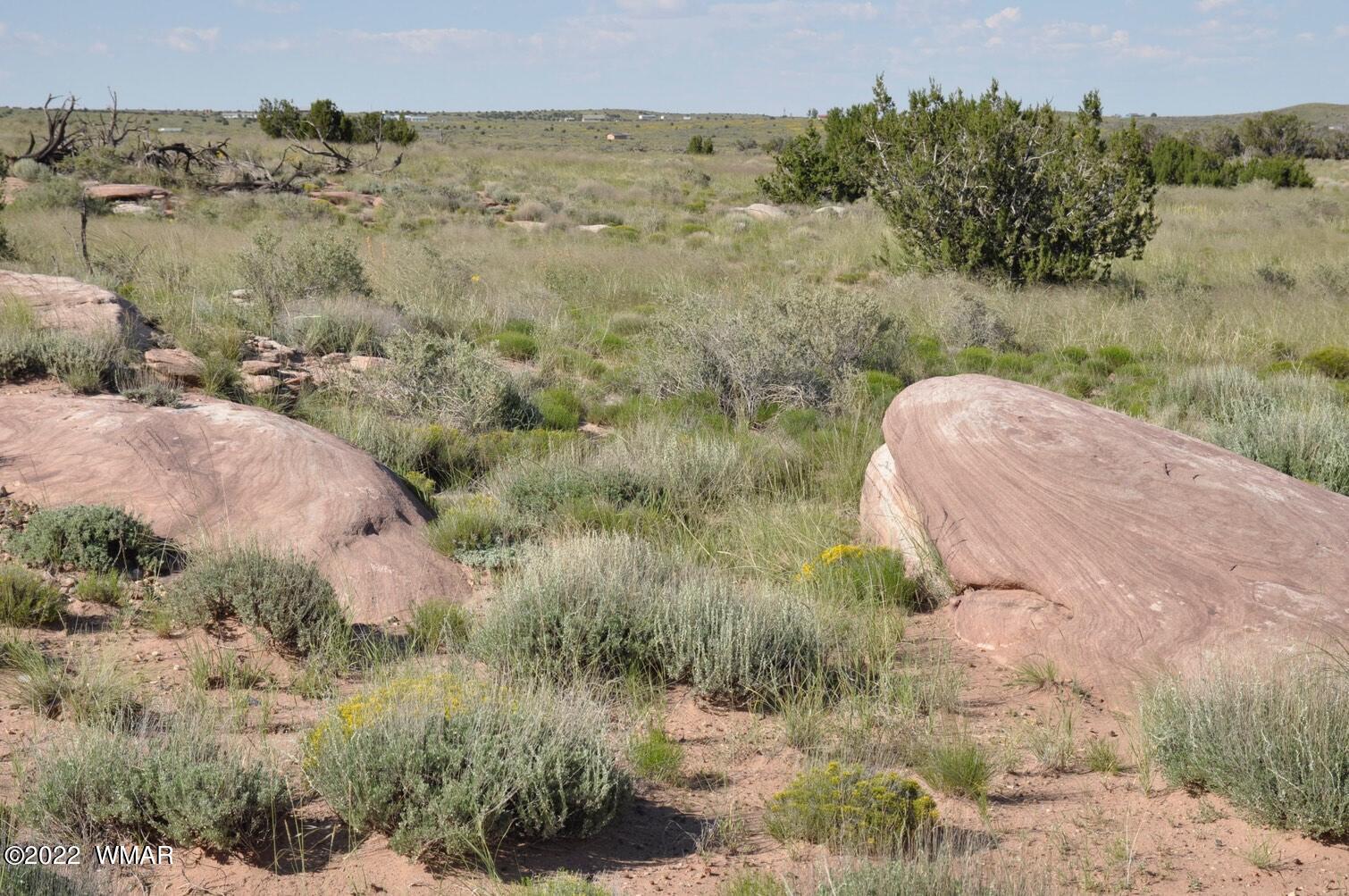 161-acres Rockin R Ranch Trail Snowflake, AZ 85937 - Photo 18 of 31