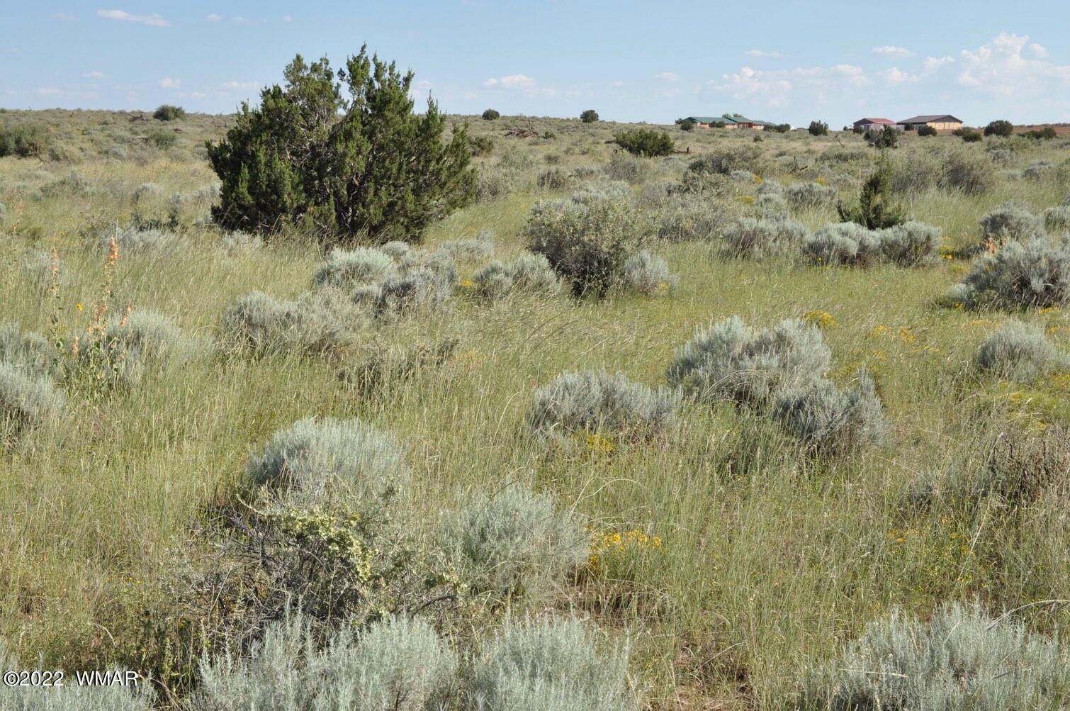 161-acres Rockin R Ranch Trail Snowflake, AZ 85937 - Photo 19 of 31