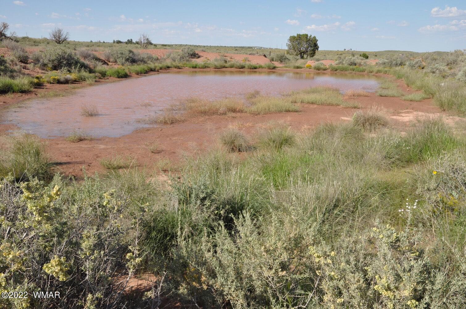 161-acres Rockin R Ranch Trail Snowflake, AZ 85937 - Photo 20 of 31