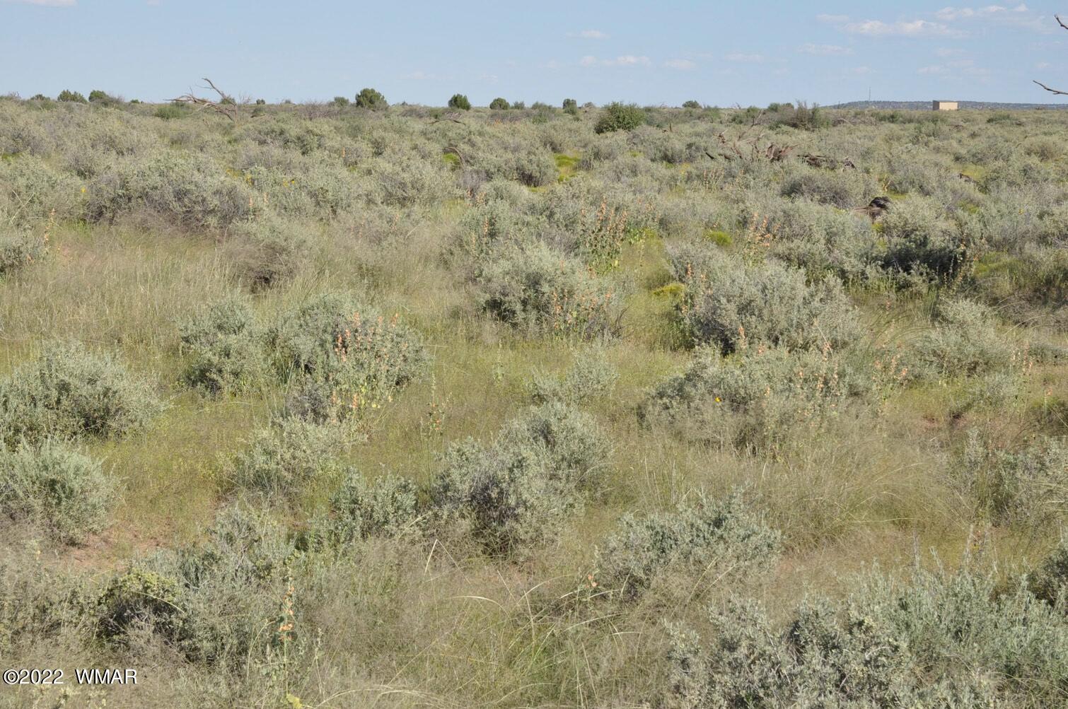 161-acres Rockin R Ranch Trail Snowflake, AZ 85937 - Photo 22 of 31