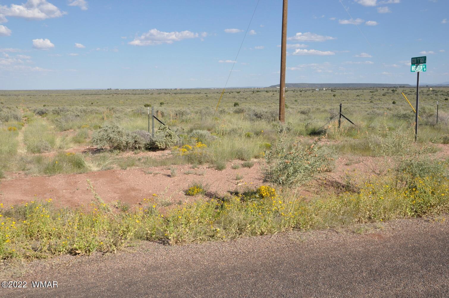 161-acres Rockin R Ranch Trail Snowflake, AZ 85937 - Photo 23 of 31