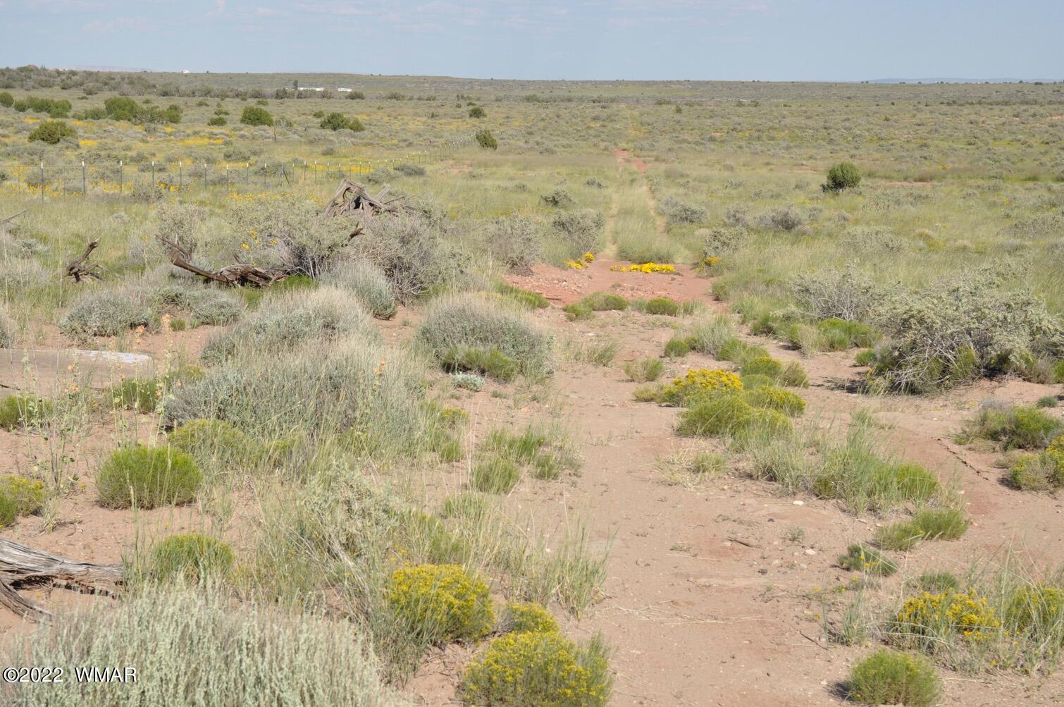 161-acres Rockin R Ranch Trail Snowflake, AZ 85937 - Photo 24 of 31