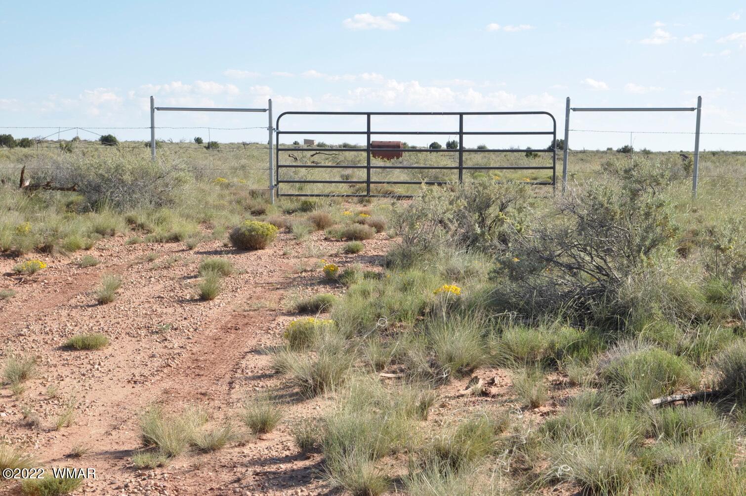 161-acres Rockin R Ranch Trail Snowflake, AZ 85937 - Photo 25 of 31