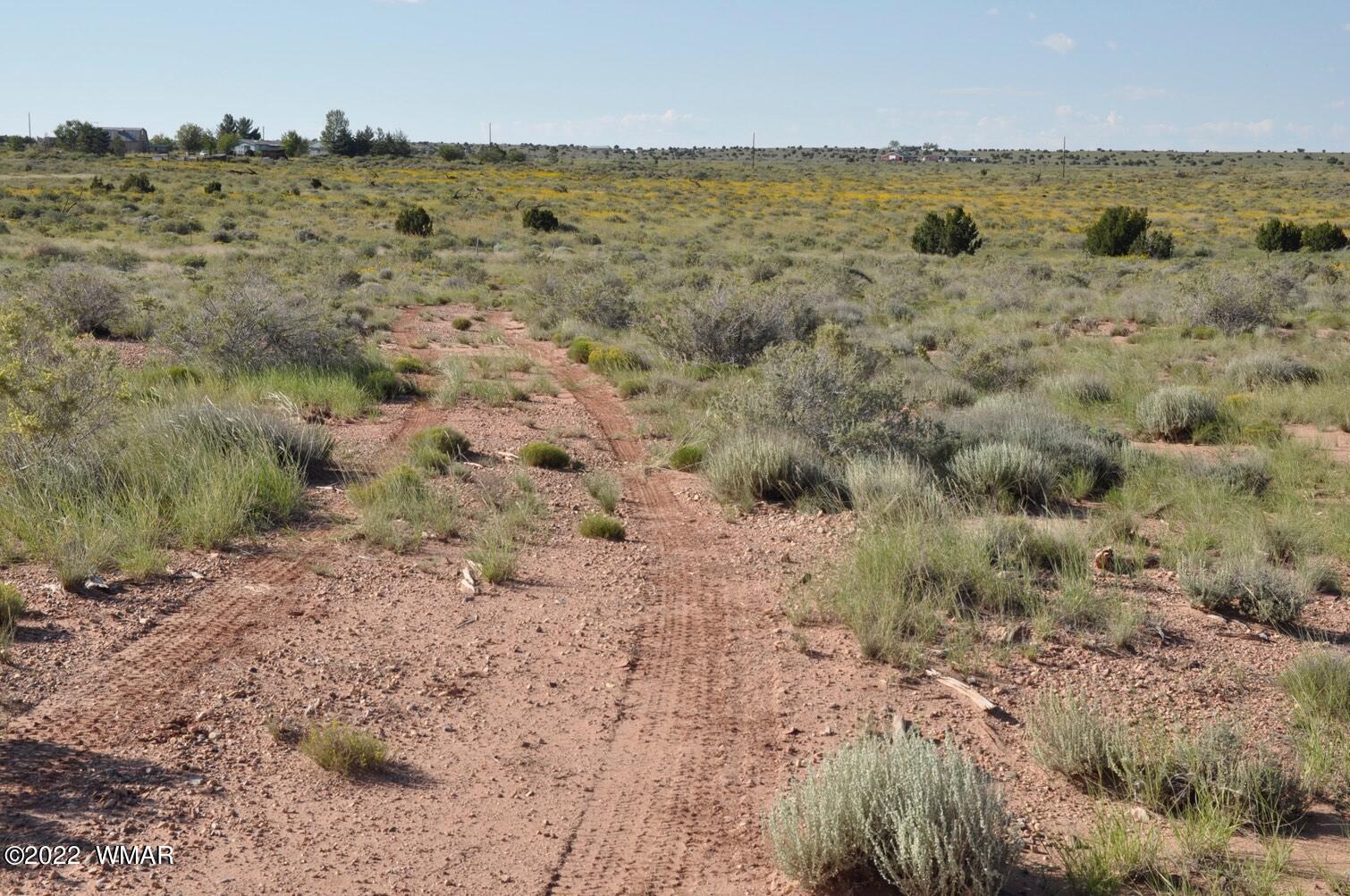 161-acres Rockin R Ranch Trail Snowflake, AZ 85937 - Photo 26 of 31