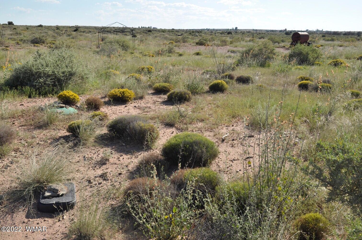 161-acres Rockin R Ranch Trail Snowflake, AZ 85937 - Photo 28 of 31