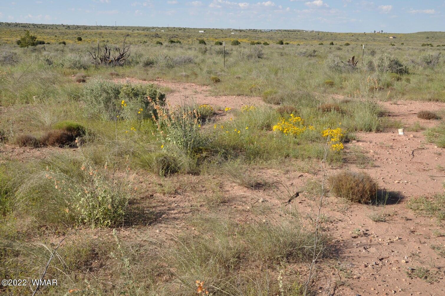 161-acres Rockin R Ranch Trail Snowflake, AZ 85937 - Photo 29 of 31