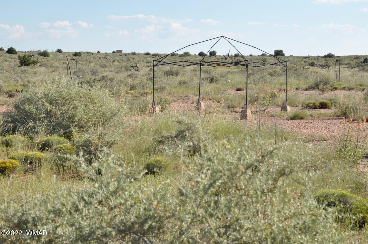 161-acres Rockin R Ranch Trail Snowflake, AZ 85937 - Photo 30 of 31