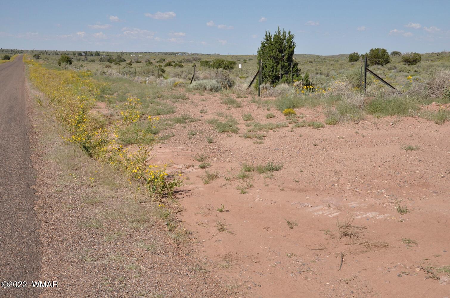 161-acres Rockin R Ranch Trail Snowflake, AZ 85937 - Photo 3 of 31