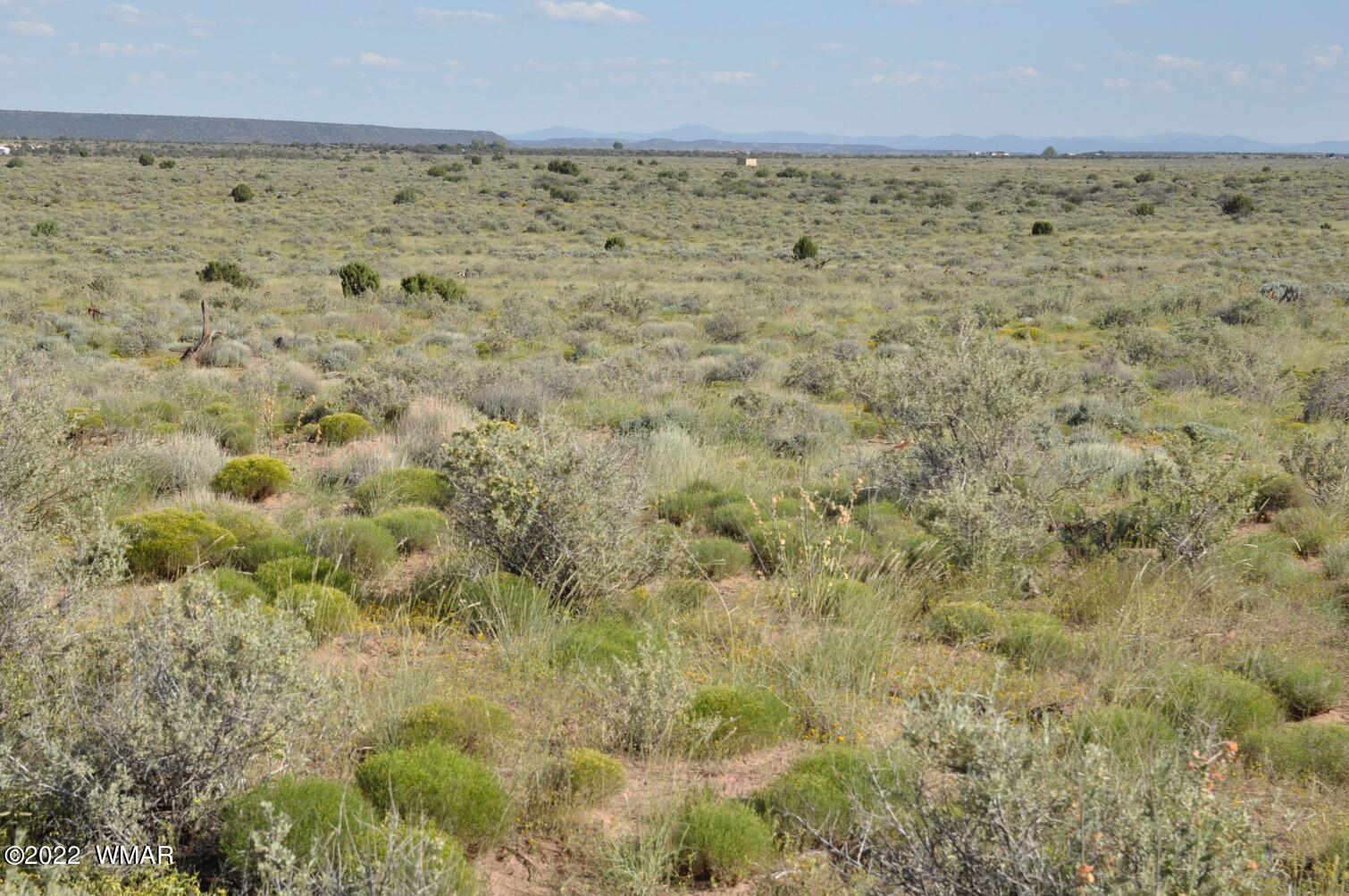 161-acres Rockin R Ranch Trail Snowflake, AZ 85937 - Photo 31 of 31