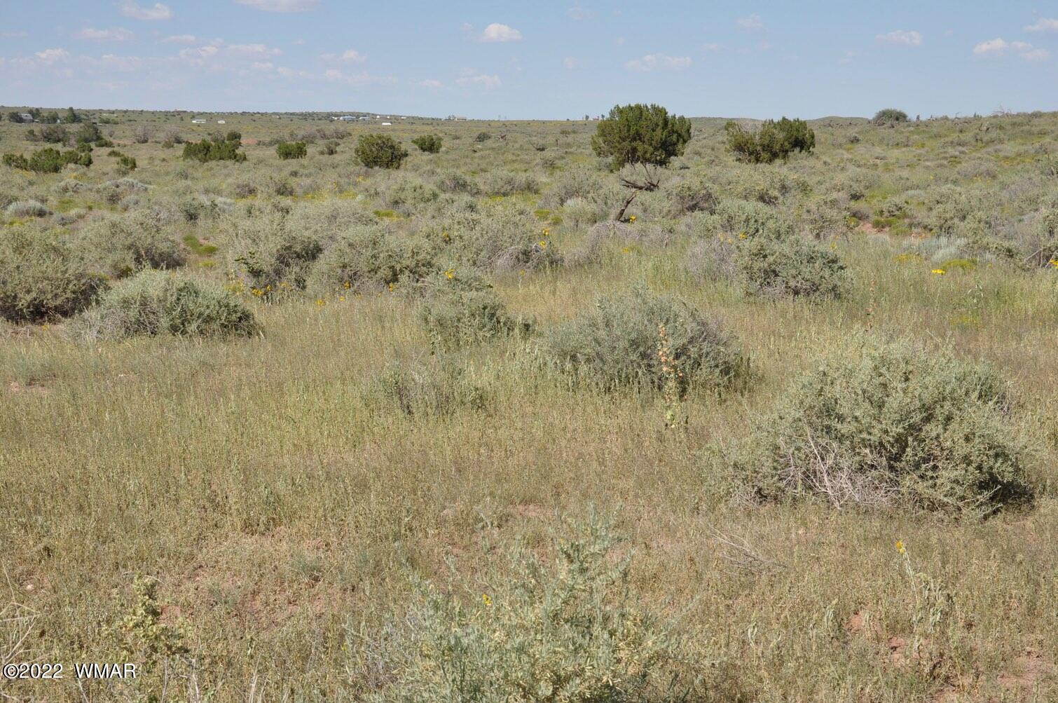 161-acres Rockin R Ranch Trail Snowflake, AZ 85937 - Photo 4 of 31