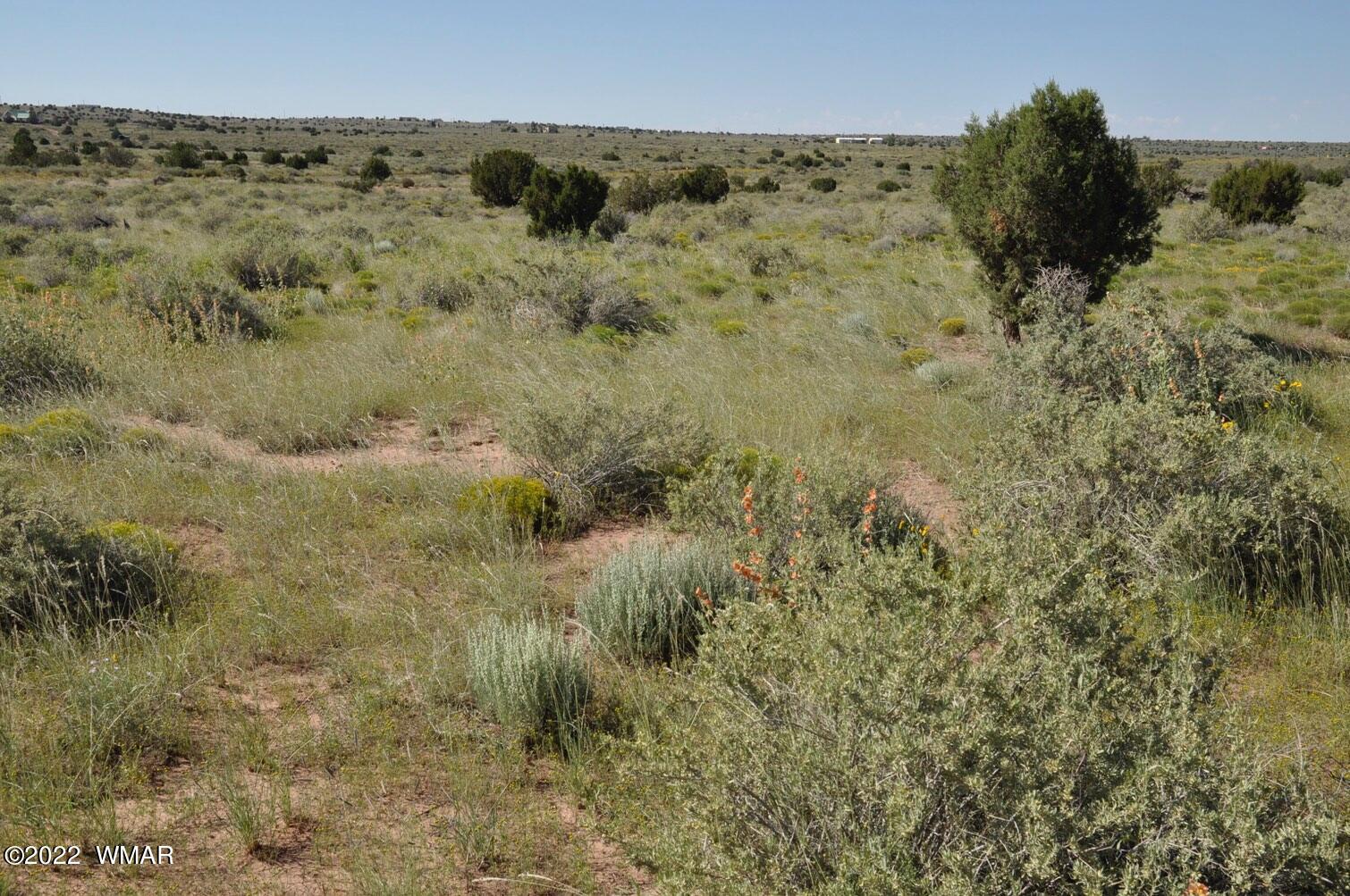 161-acres Rockin R Ranch Trail Snowflake, AZ 85937 - Photo 5 of 31