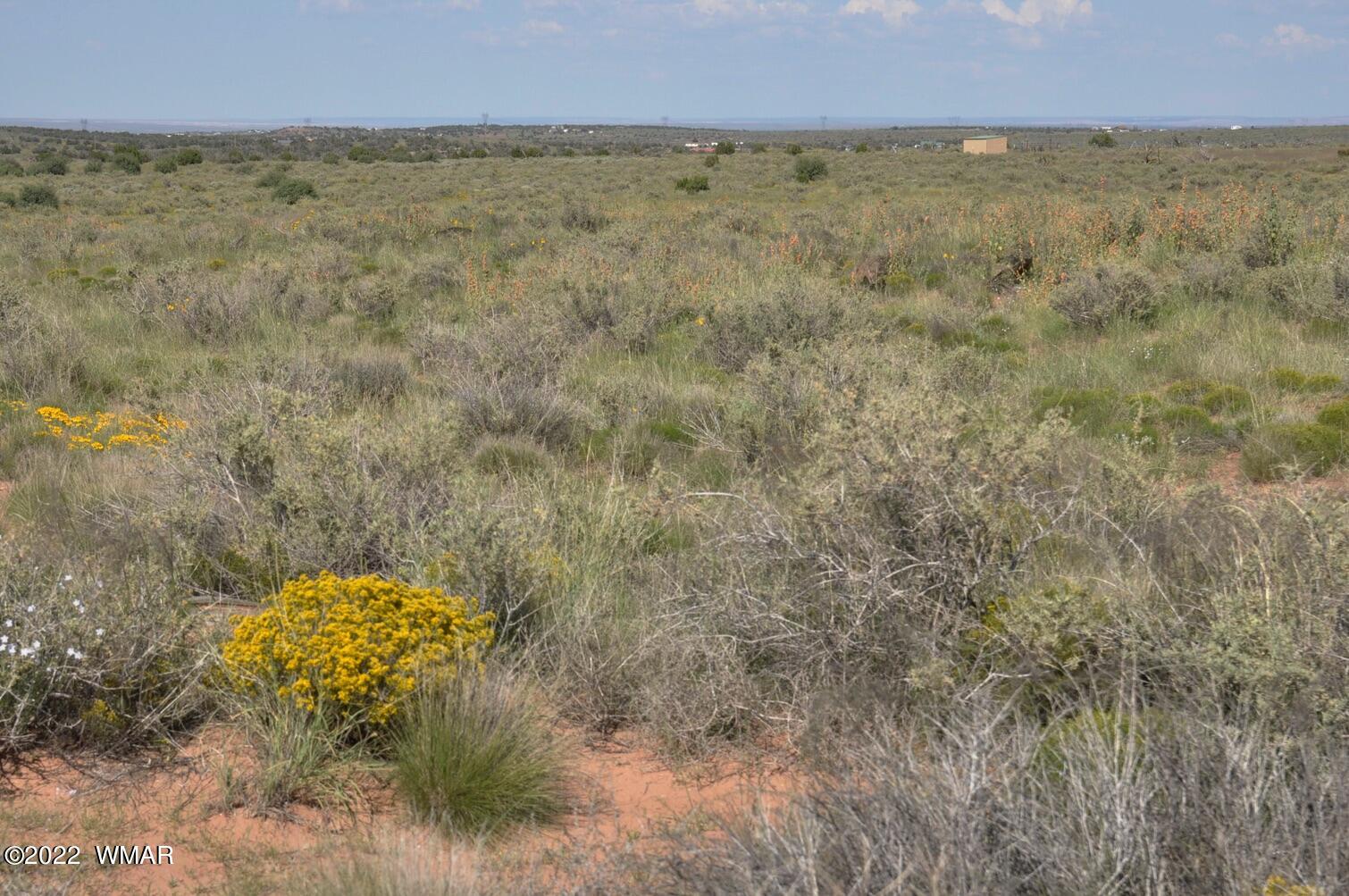 161-acres Rockin R Ranch Trail Snowflake, AZ 85937 - Photo 6 of 31
