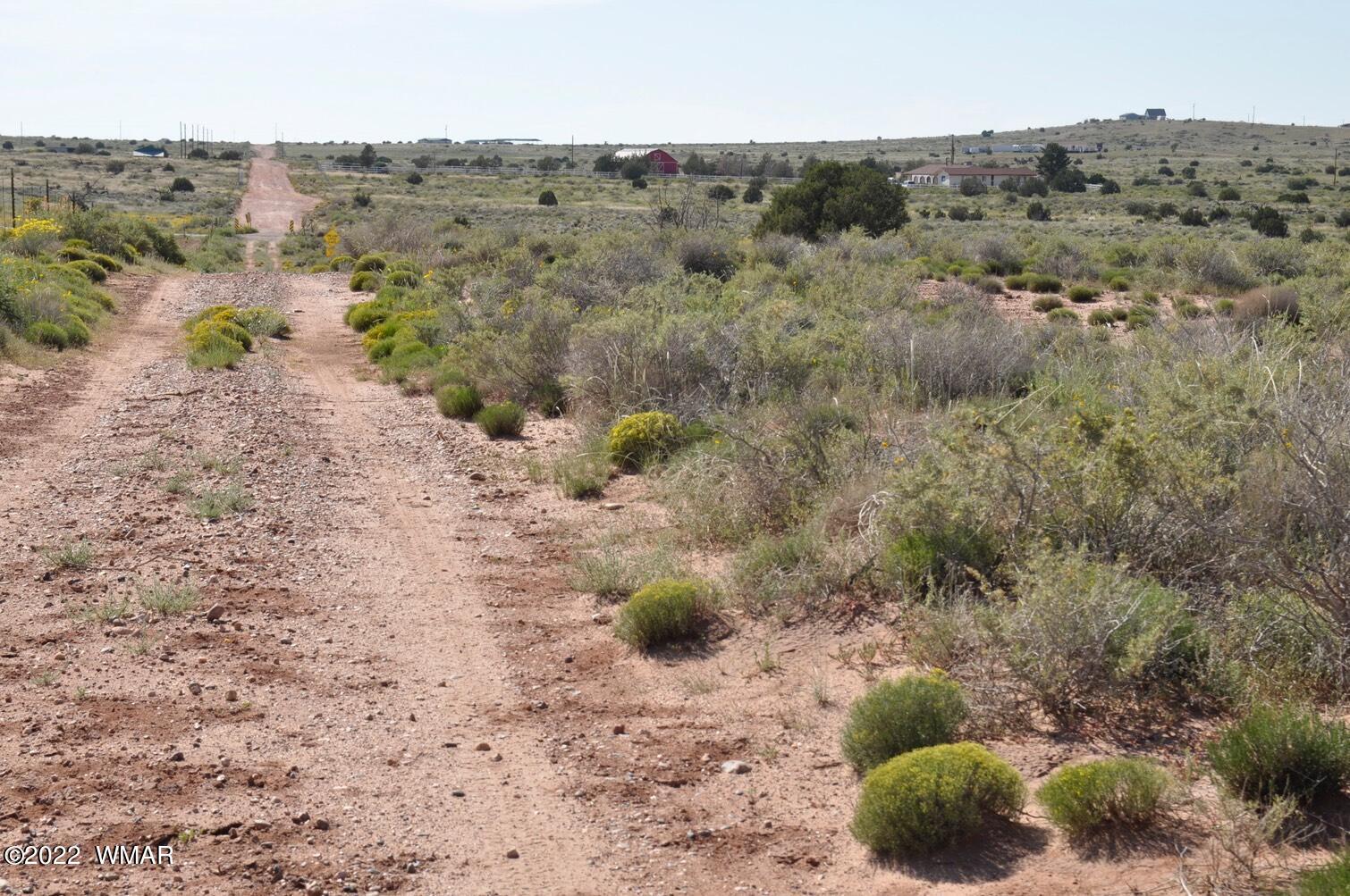 161-acres Rockin R Ranch Trail Snowflake, AZ 85937 - Photo 7 of 31