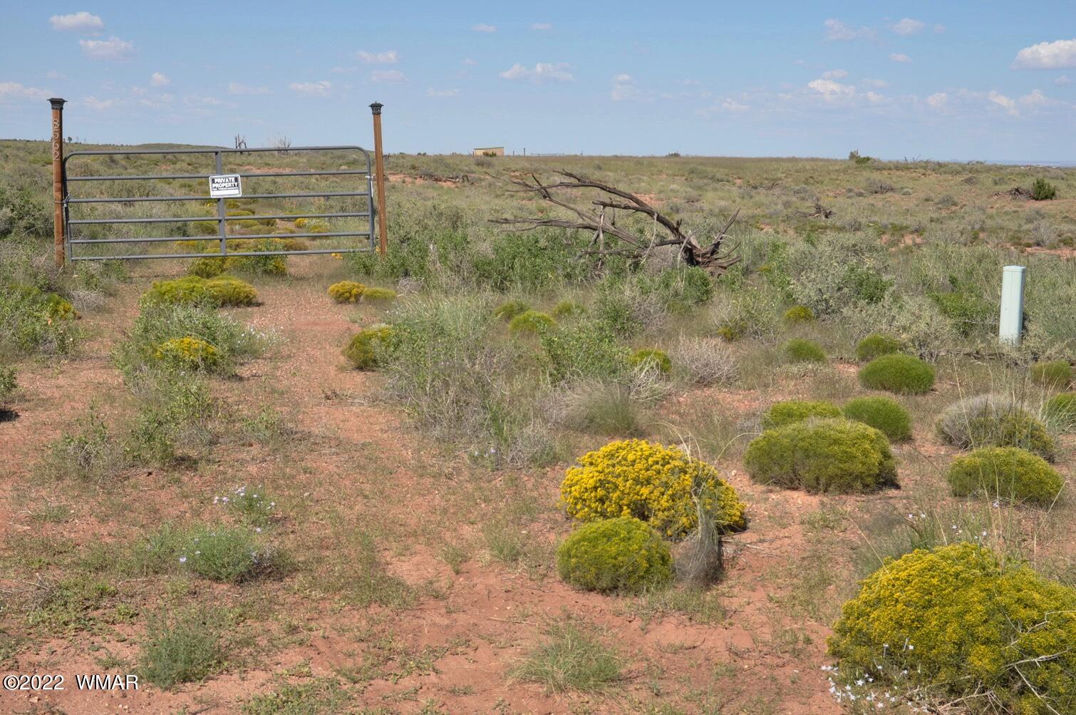 161-acres Rockin R Ranch Trail Snowflake, AZ 85937 - Photo 8 of 31