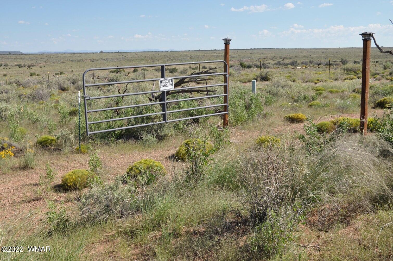 161-acres Rockin R Ranch Trail Snowflake, AZ 85937 - Photo 9 of 31