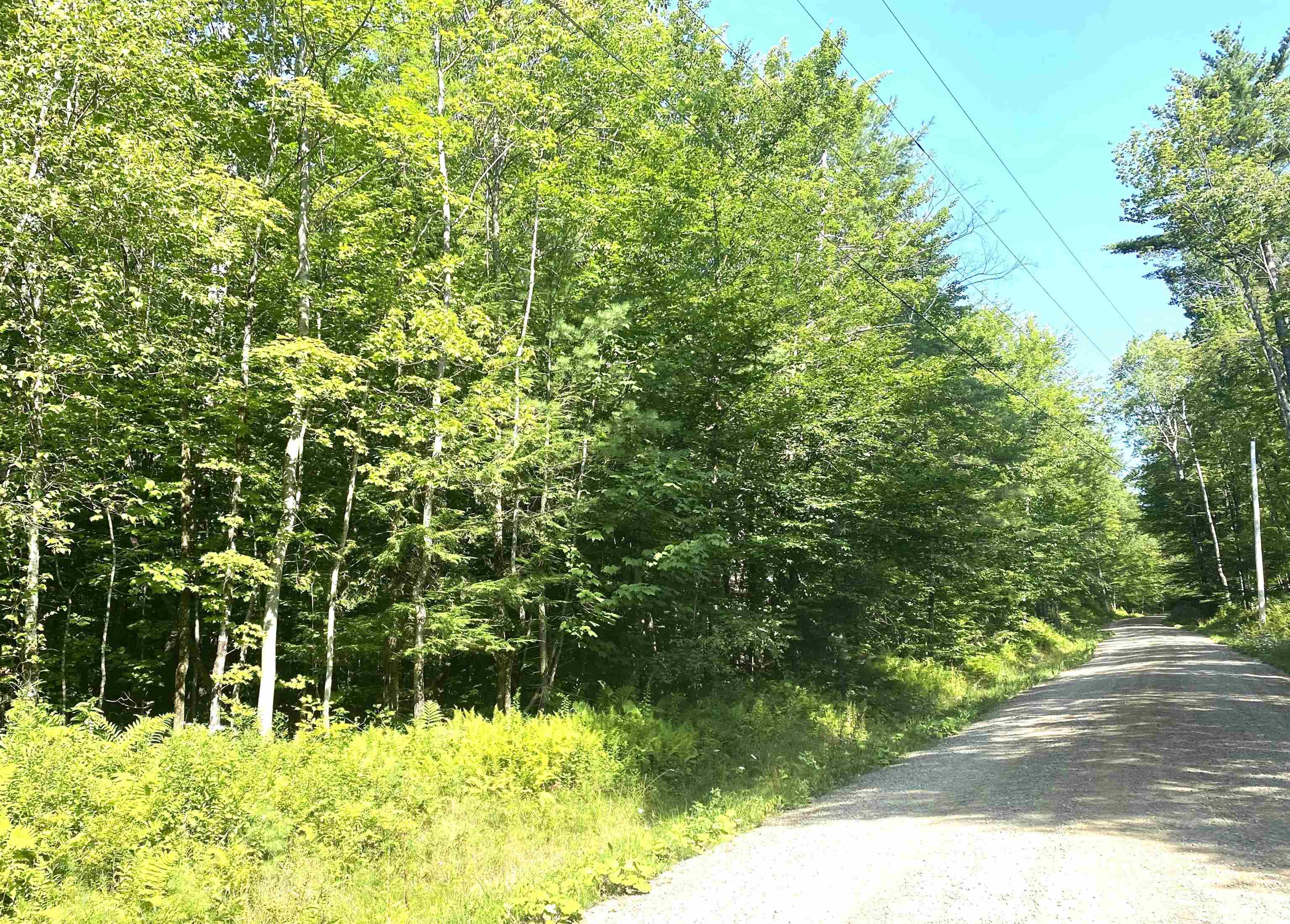 0 North Branch Road Ripton, VT 05766 - Photo 1 of 16 Gallery Image 1