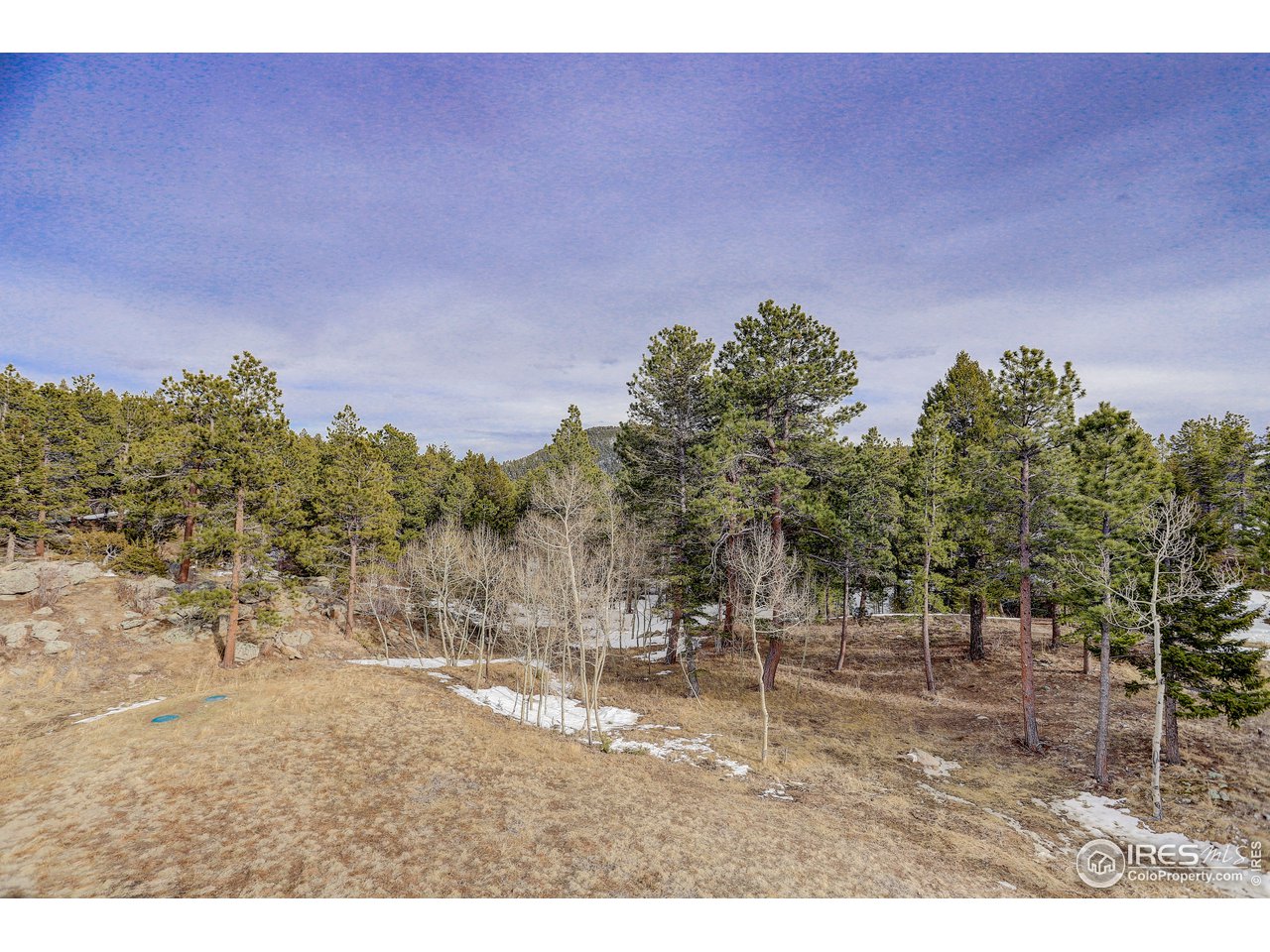 500 Ridge Road Ward, CO 80481 - Photo 28 of 31 a backyard of a house with lots of green space