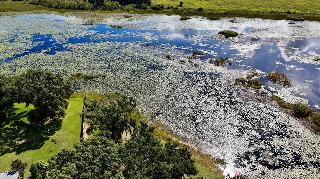 a view of a pathway with a yard