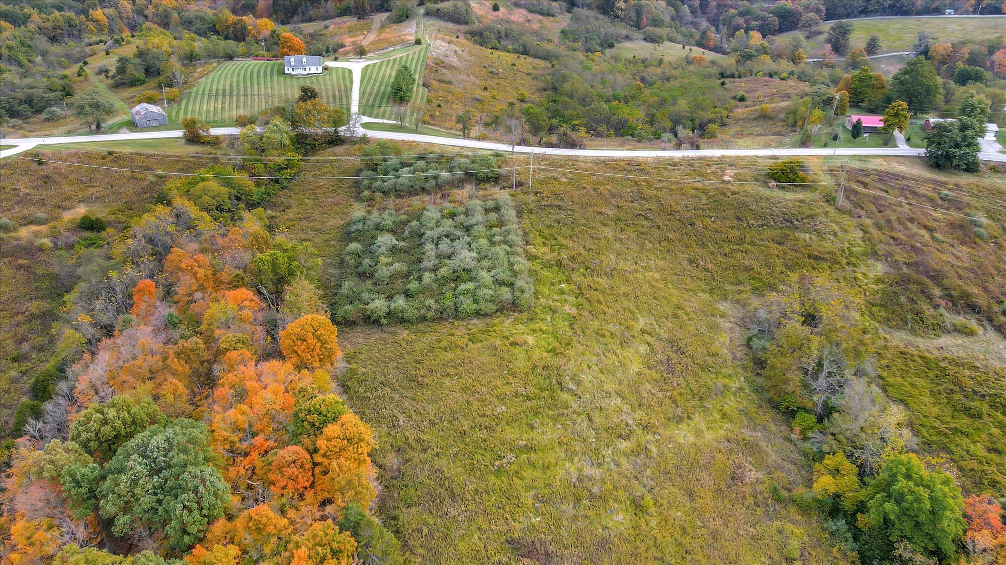 Lot #2 Georgetown Road Owenton, KY 40359 - Photo 2 of 10