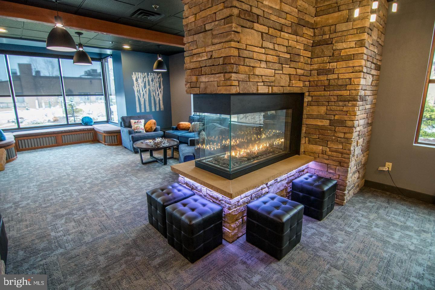 290 Marsh Hill Road, Unit 768F McHenry, MD 21541 - Photo 13 of 15