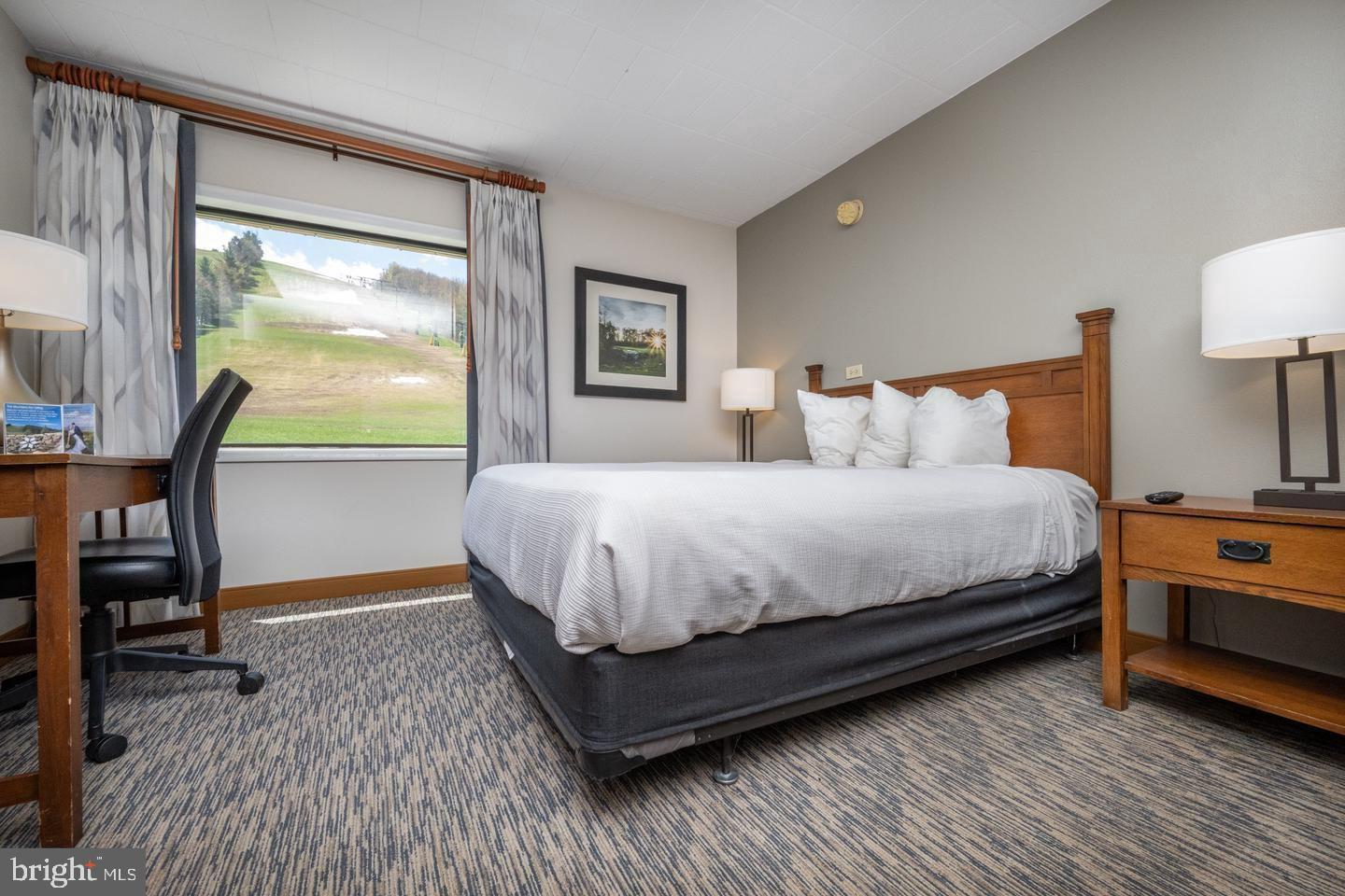 290 Marsh Hill Road, Unit 768F McHenry, MD 21541 - Photo 3 of 15