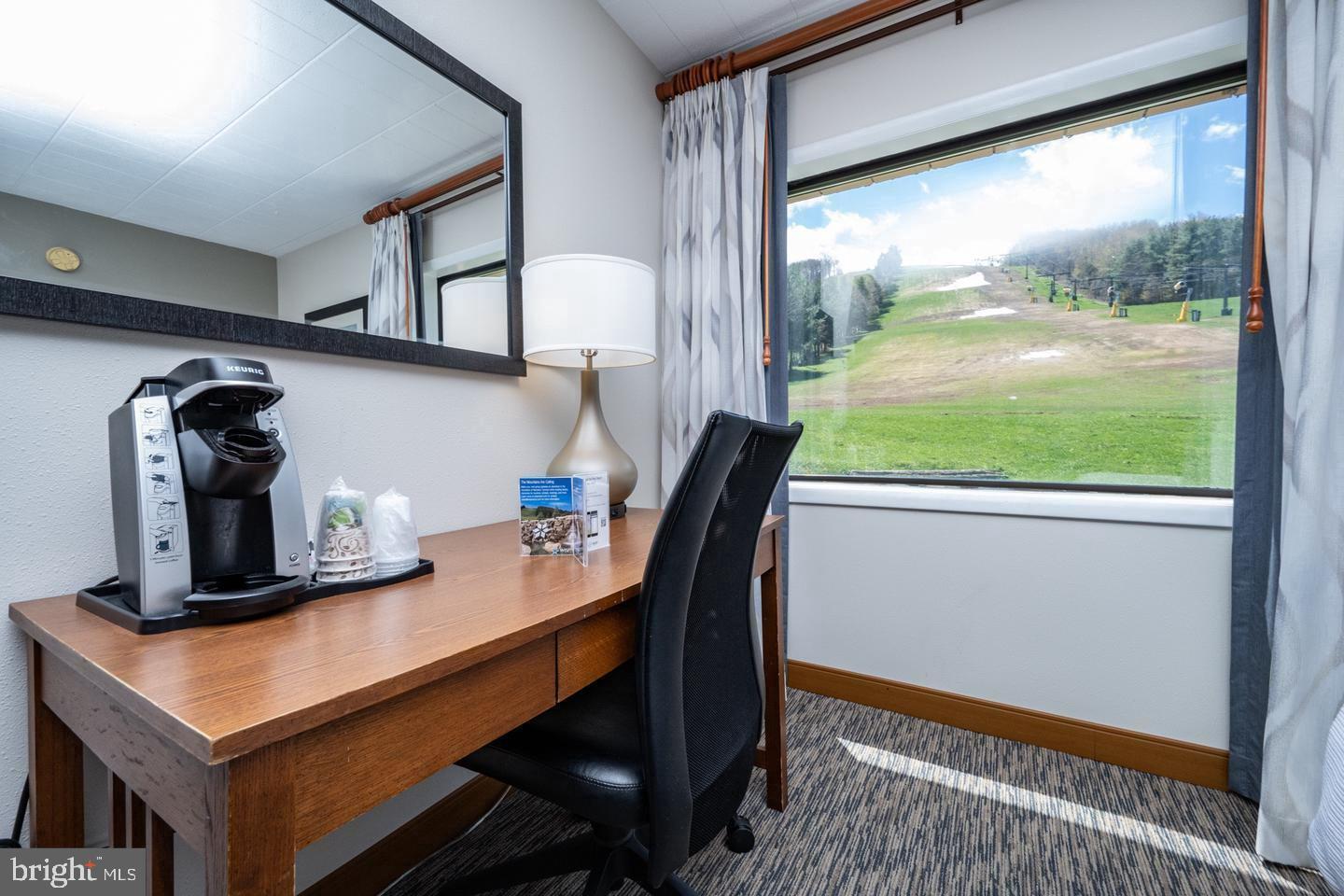 290 Marsh Hill Road, Unit 768F McHenry, MD 21541 - Photo 4 of 15