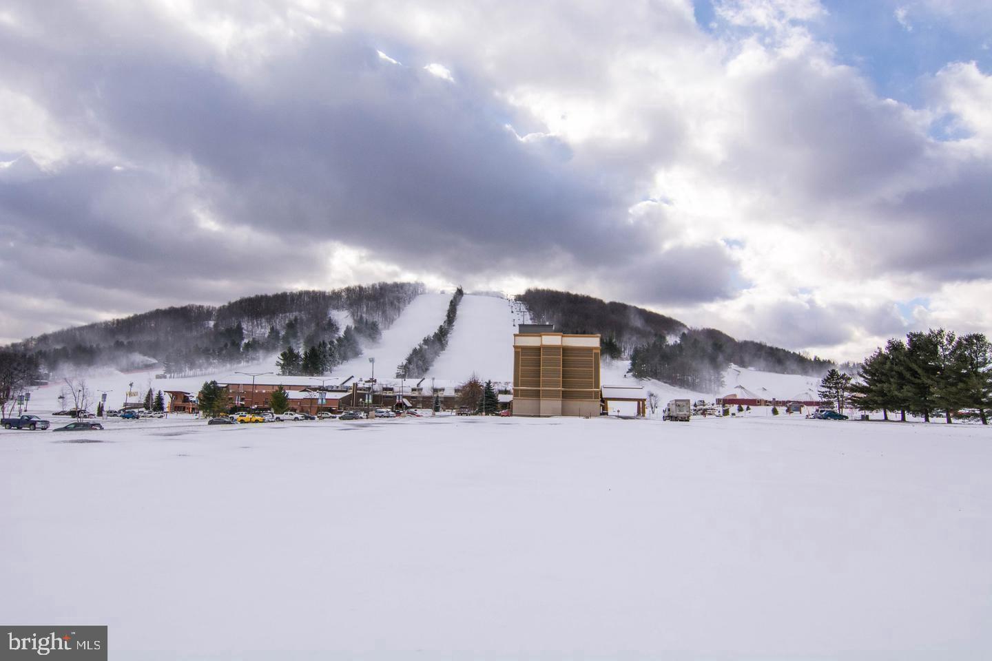 290 Marsh Hill Road, Unit 768F McHenry, MD 21541 - Photo 9 of 15