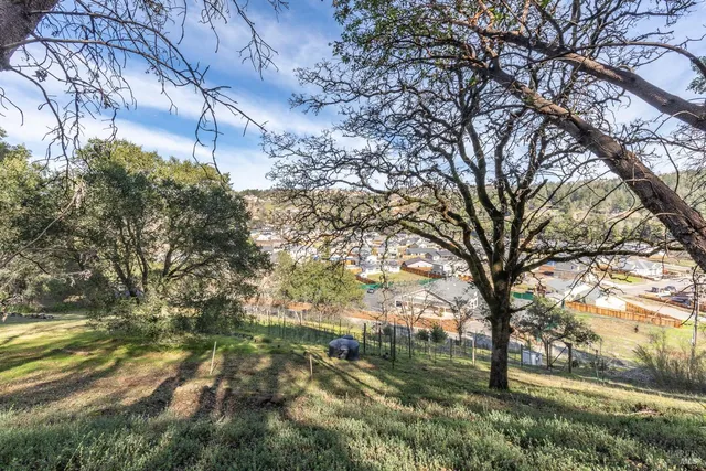 a view of outdoor space with trees