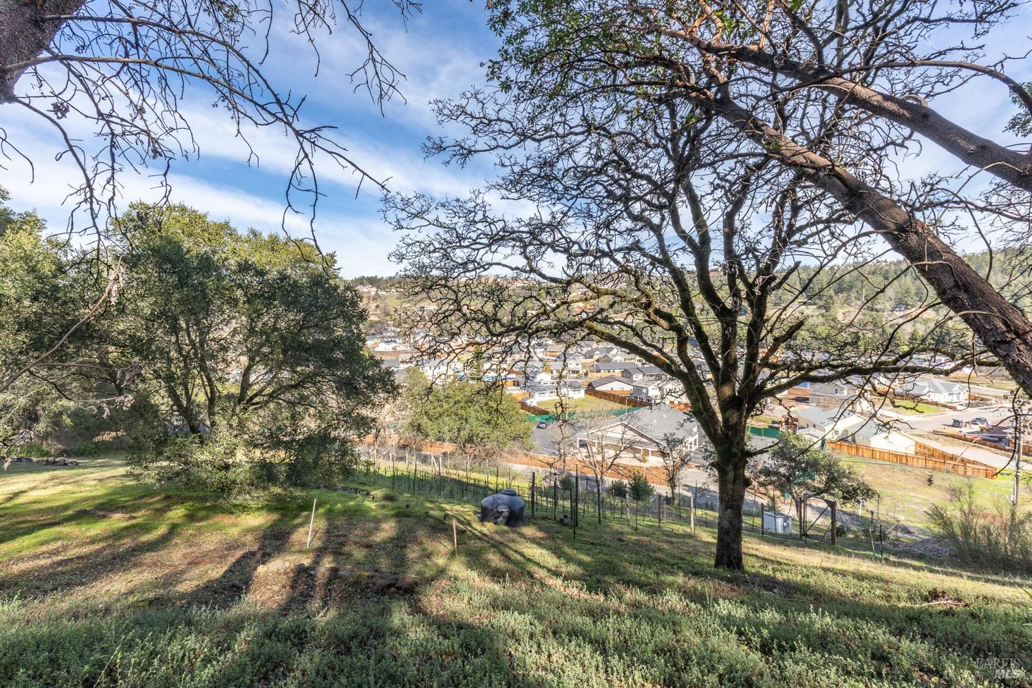 3473 Parker Hill Road Santa Rosa, CA 95404 - Photo 23 of 35 a view of outdoor space with yard and green space