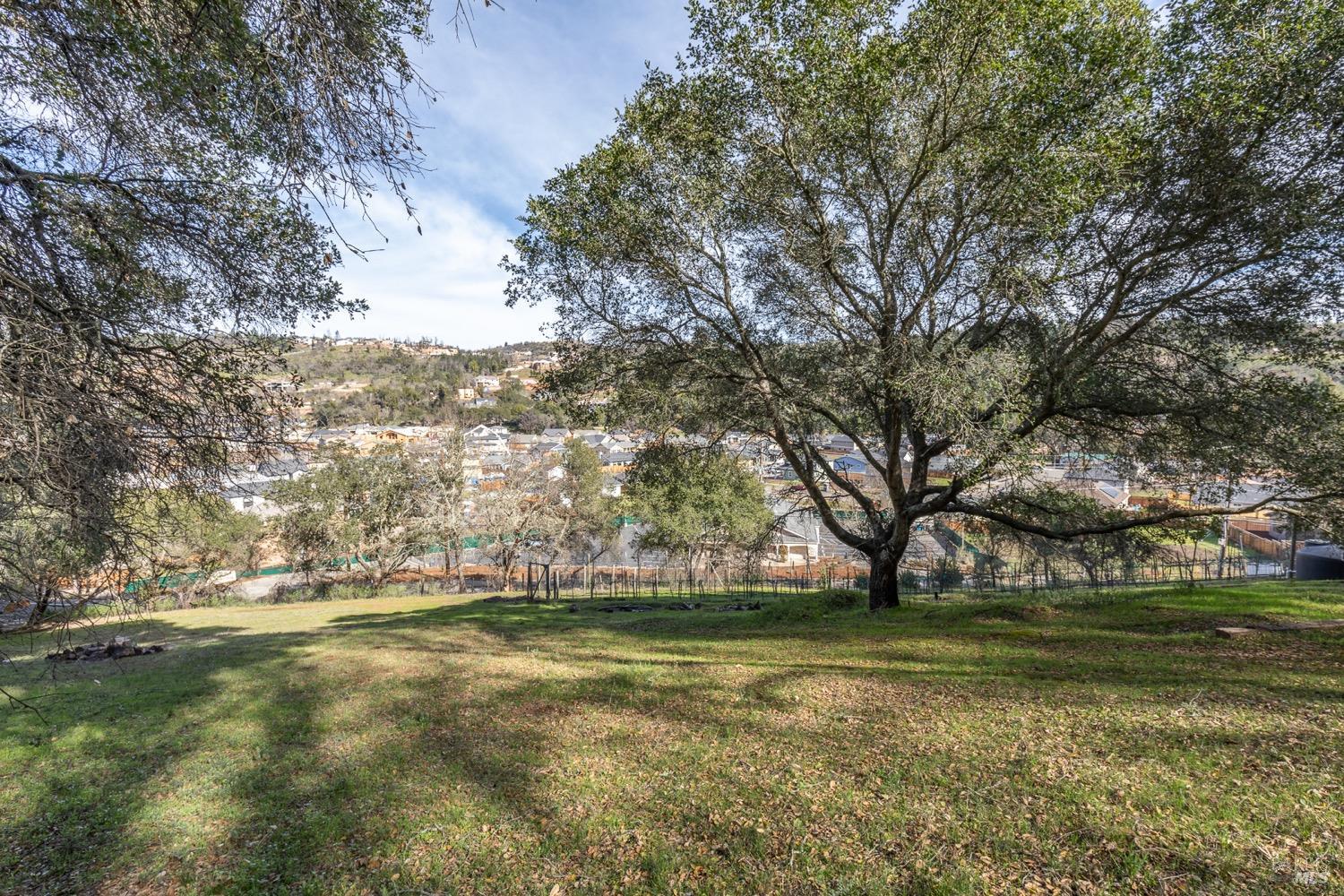 3473 Parker Hill Road Santa Rosa, CA 95404 - Photo 24 of 35 a view of outdoor space with trees
