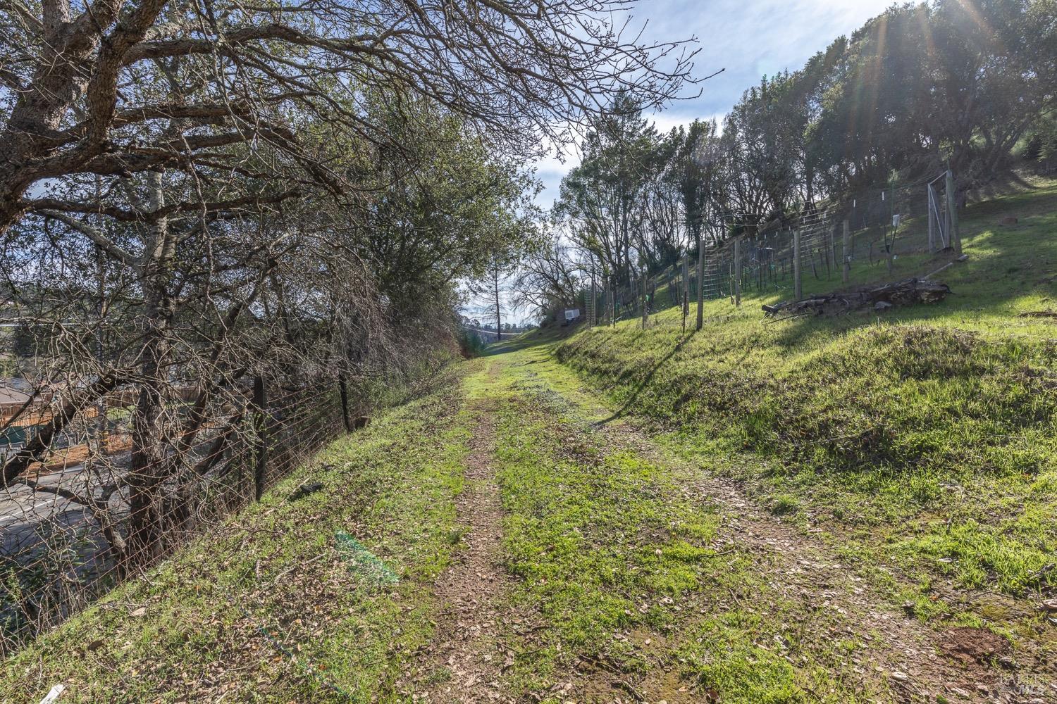 3473 Parker Hill Road Santa Rosa, CA 95404 - Photo 26 of 35 a view of backyard with tree