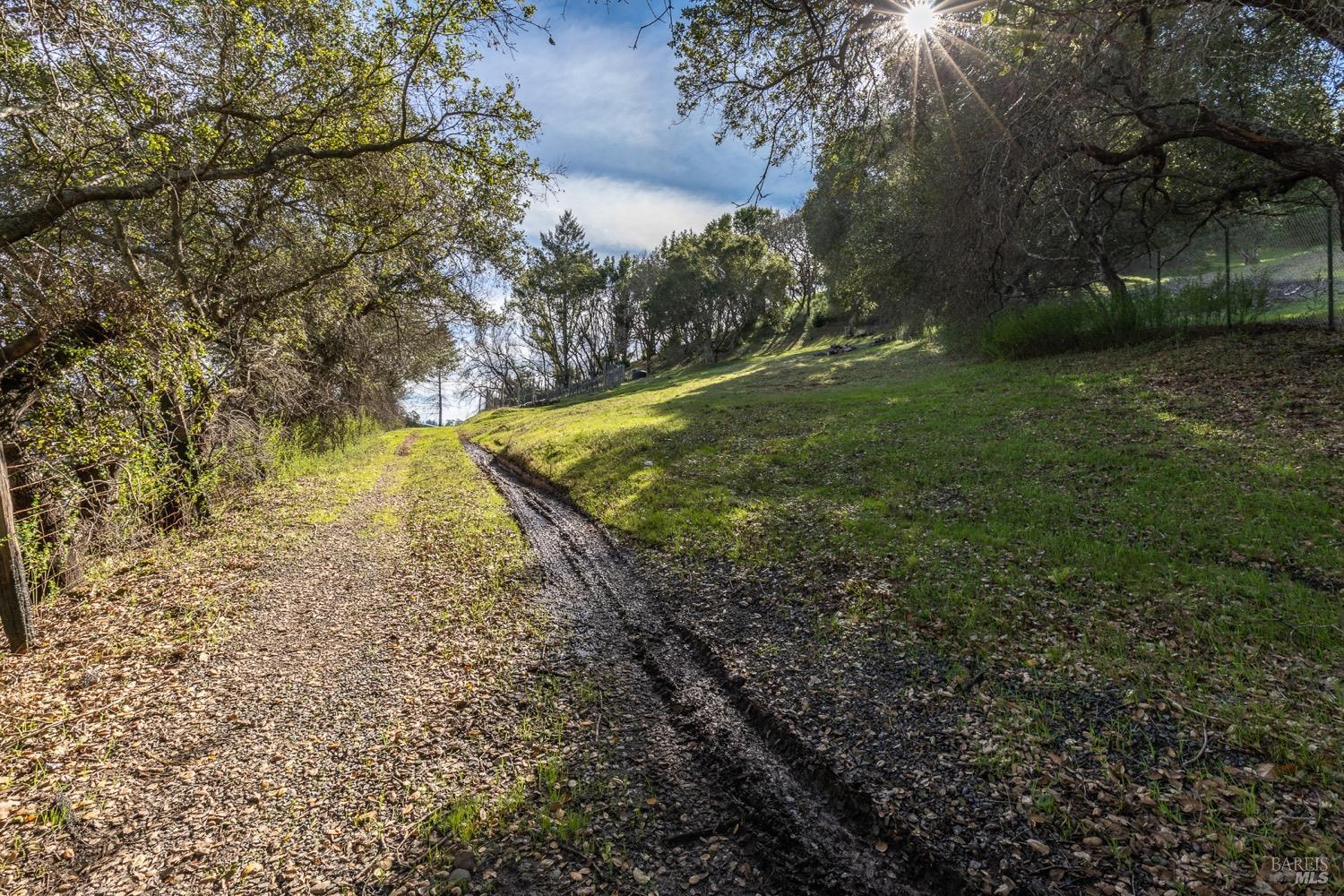 3473 Parker Hill Road Santa Rosa, CA 95404 - Photo 27 of 35 a view of a yard with trees