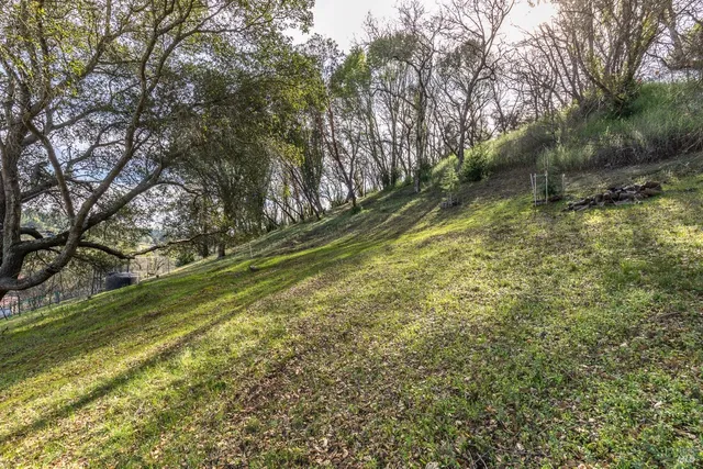 a view of a yard with an outdoor space