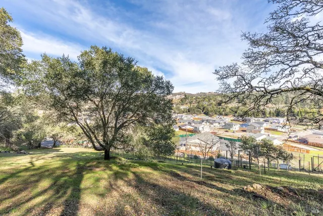 a view of dirt field with trees in the background