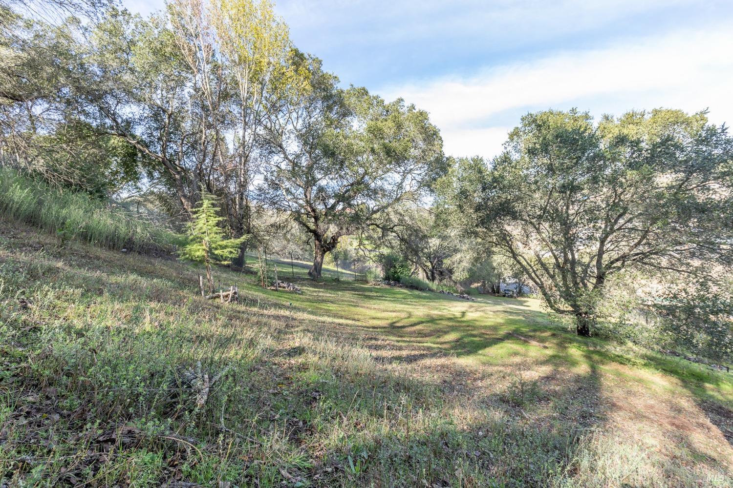 3473 Parker Hill Road Santa Rosa, CA 95404 - Photo 8 of 35 a view of dirt field with trees in the background