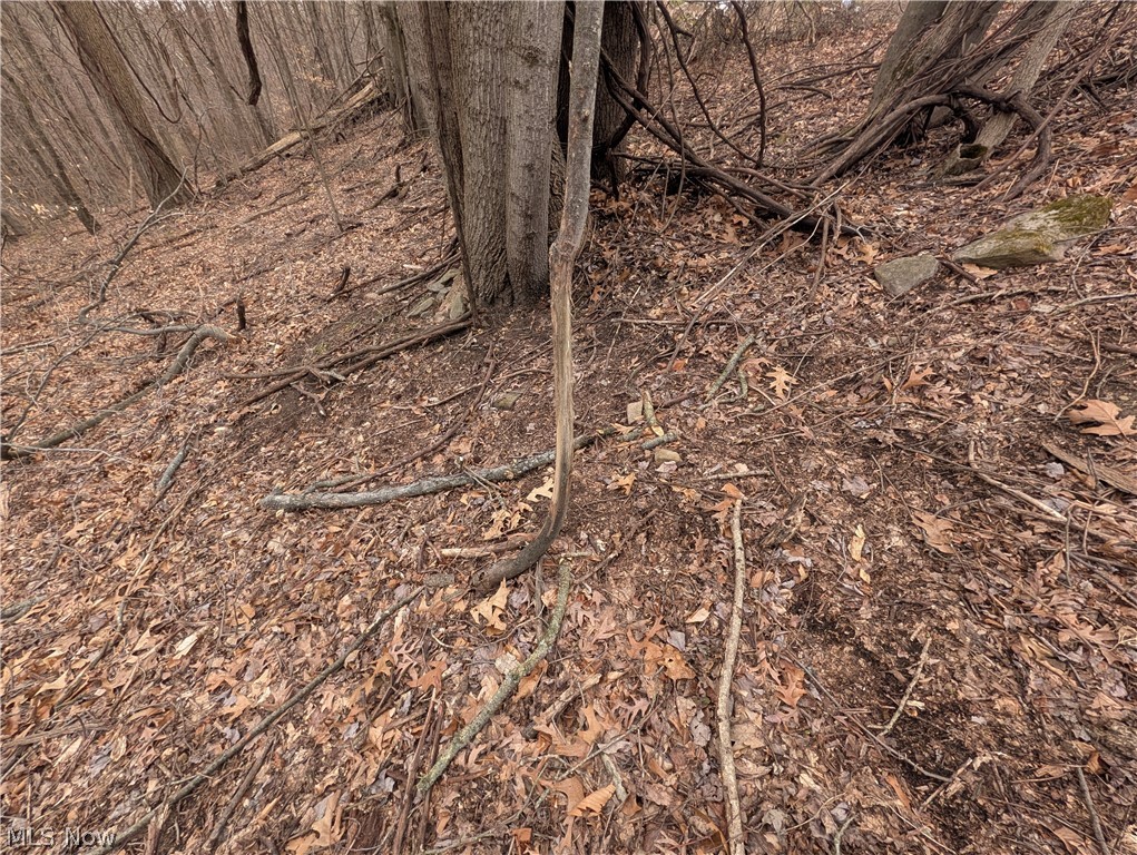 39000 Lees Run Road Cadiz, OH 43907 - Photo 27 of 49