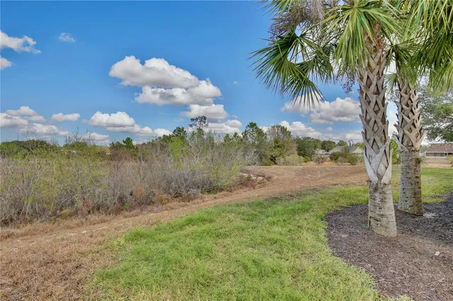 $599,000 | 4119 Oak Tree Drive, Davenport, FL 33837