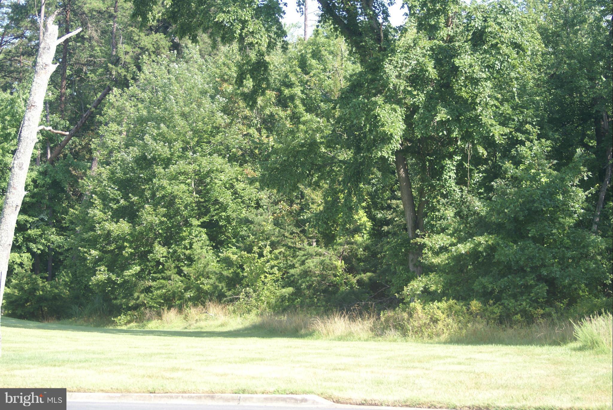 11343 Albermyrtle Road Potomac, MD 20854 - Photo 1 of 1 Exterior (Front)