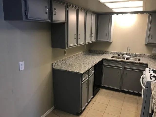 a kitchen with a sink a stove and cabinets