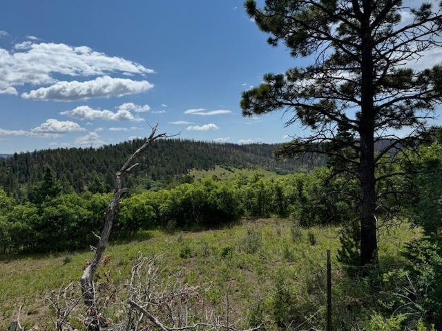 1 La Sierra Road Holman, NM 87723 - Photo 4 of 18
