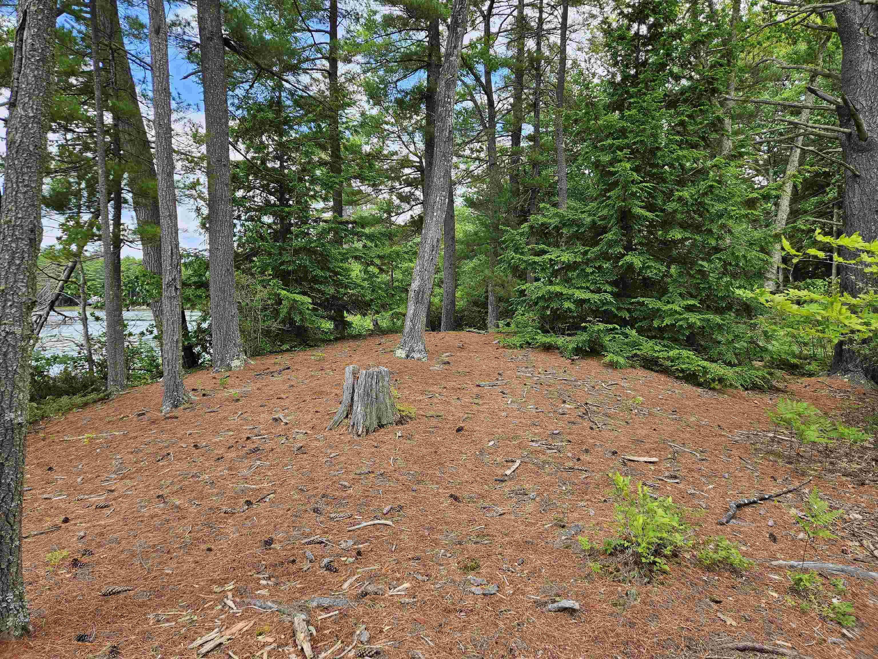 0 Meadow Pond Road Gilmanton, NH 03237 - Photo 5 of 36