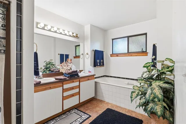 a bathroom with a sink a mirror and a potted plant