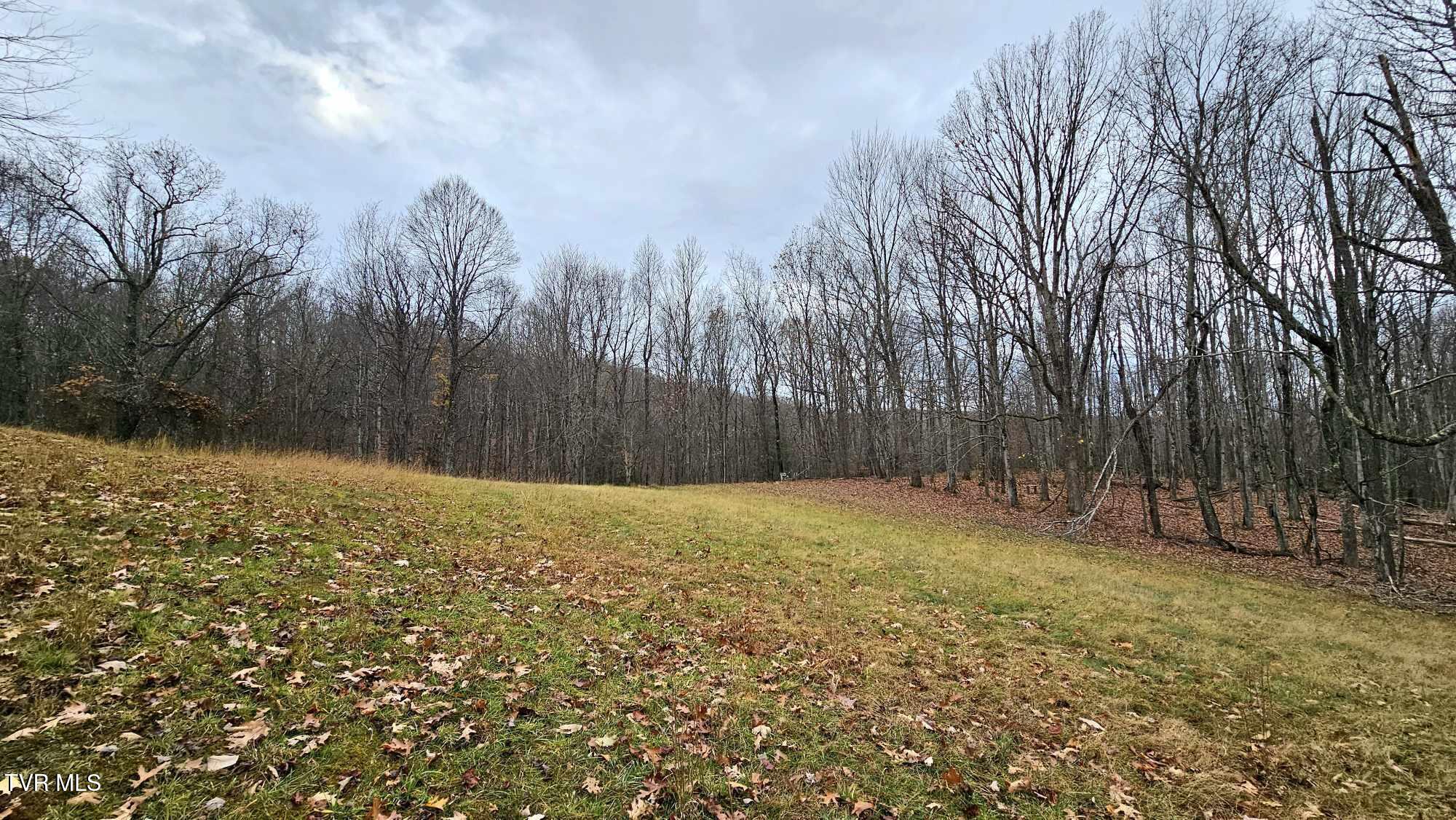 3539 Stone Mountain Road Coeburn, VA 24230 - Photo 2 of 27 8